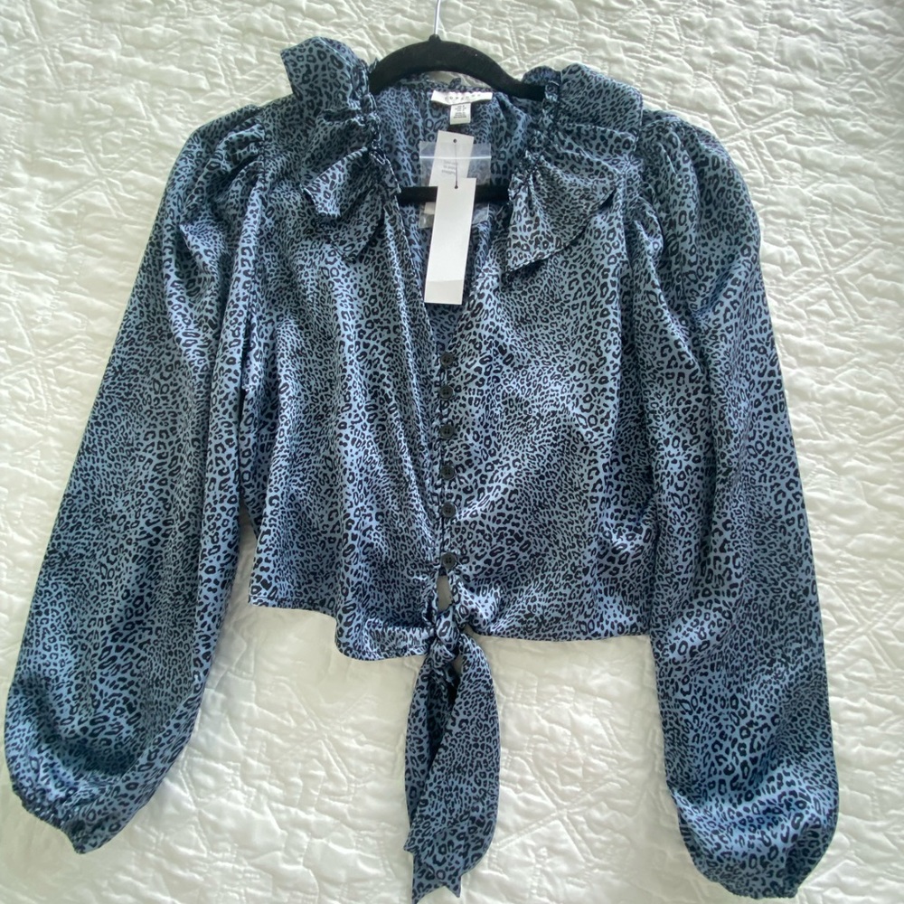 Topshop Blouse